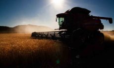 Indústria prevê alta de 10% na venda de máquinas agrícolas em 2020. Foto: © CNA/ Wenderson Araujo/Trlux Internacional