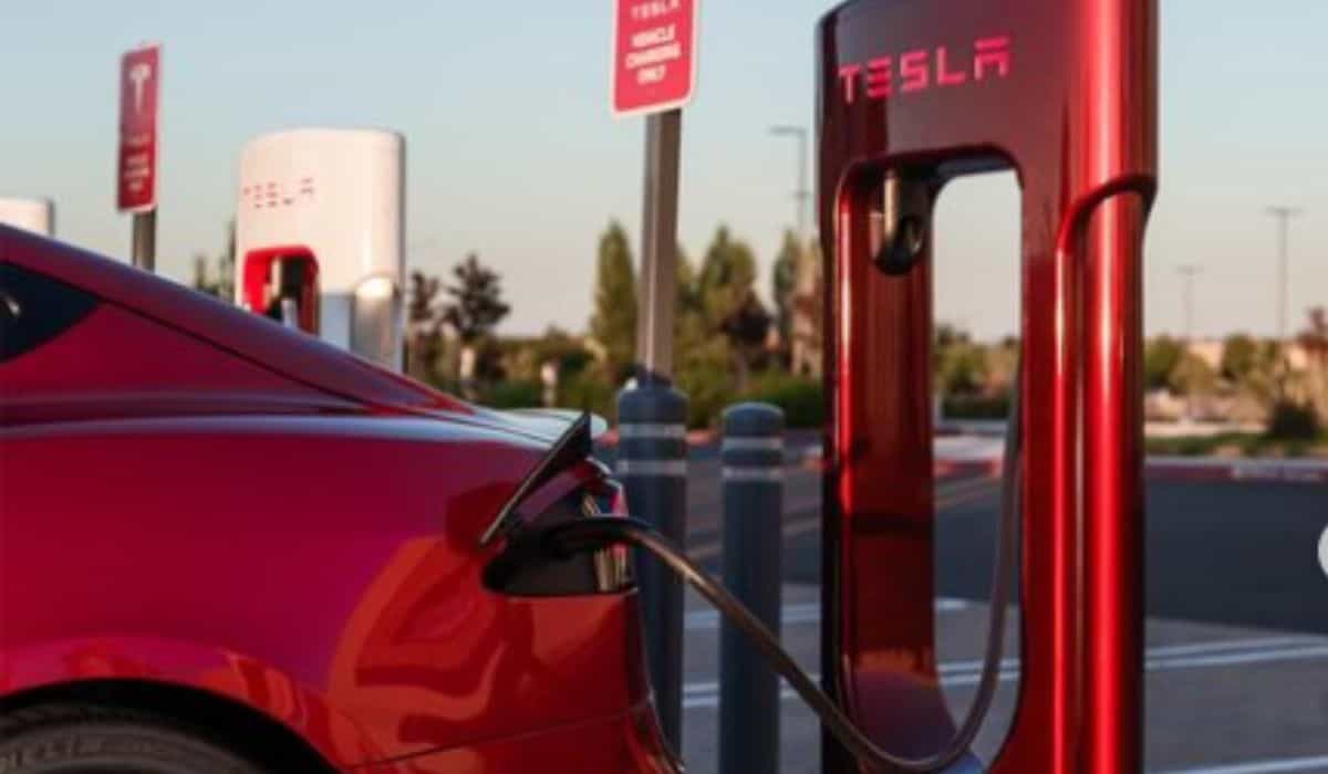 Dopo aver affrontato problemi di ricarica a causa del freddo estremo, i conducenti di Tesla si fanno sentire. Foto: Riproduzione Instagram @teslamotors