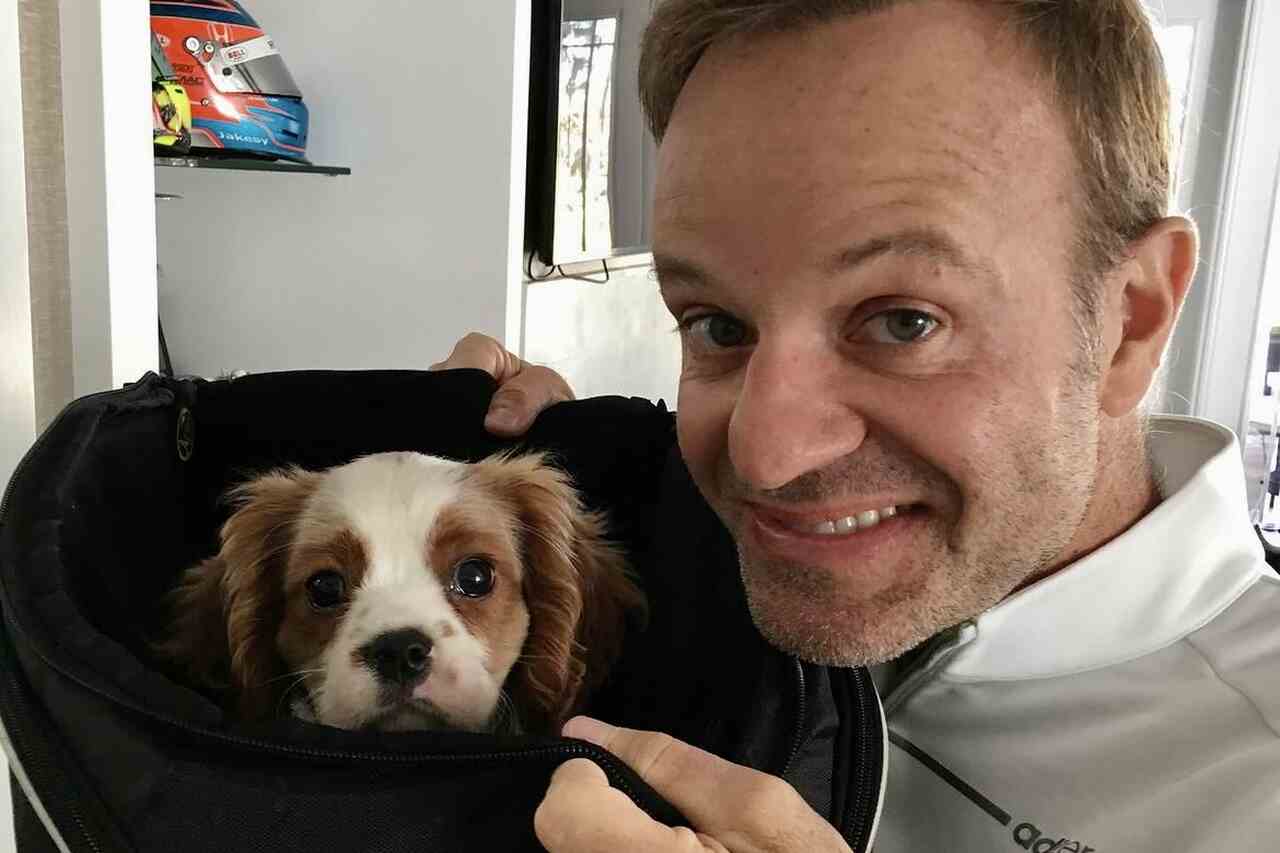 After consuming 11 cigarettes, Rubens Barrichello's dog dies. Photo: Reproduction Instagram