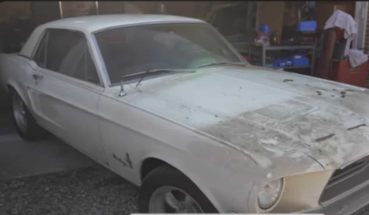 Reviving a Classic: Mustang abandoned for nearly two decades undergoes a surprising revitalization