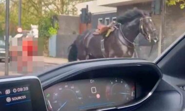 Video: Blood-covered horses run through the streets in central London. Photo and video: Reproduction Twitter @jhopwv
