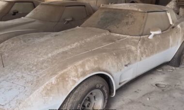 Corvette C3 abandonado por 45 anos surpreende após limpeza completa