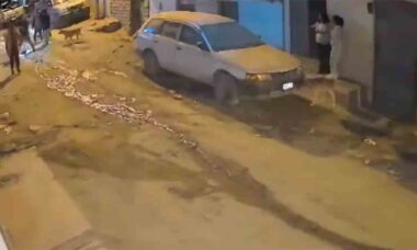 Vídeo: imágenes muestran el terremoto en Perú que provocó alerta de tsunami. Foto y video: Twitter @OlimpoTanatos