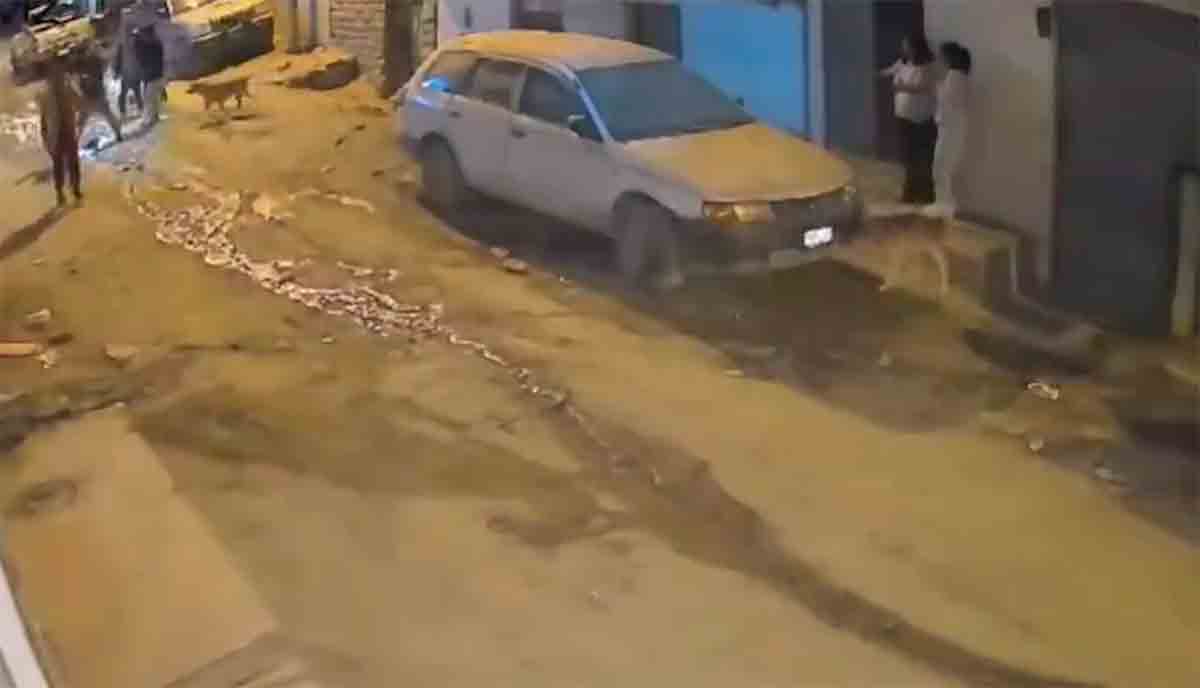 Video: Opptak viser jordskjelvet i Peru som utløste tsunami-varsel. Foto og video: Twitter @OlimpoTanatos