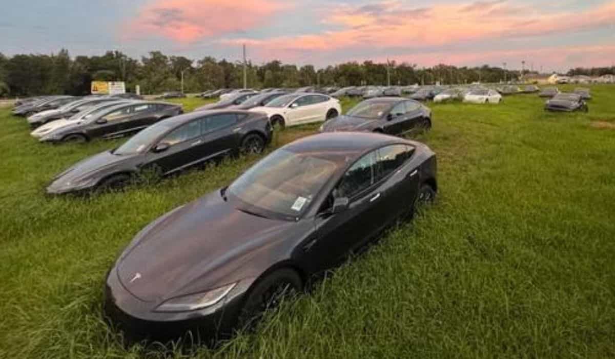 Terreno con centinaia di Teslas abbandonati diventa virale e genera dibattito sui social media