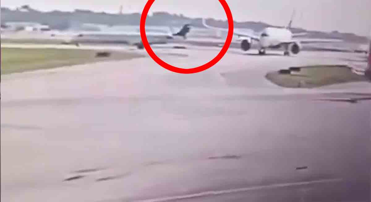 Dua pesawat dengan 277 penumpang bertabrakan di landasan bandara Atlanta. Foto dan video: X @fl360aero