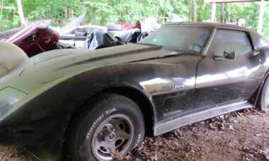 Corvette 1976 abandonado por 15 anos revela potencial surpreendente após ser recuperado e limpo