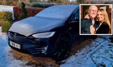 Bilionário critica Tesla após falha em Model X no dia em que garantia expirou (X @JohnDCaudwell)