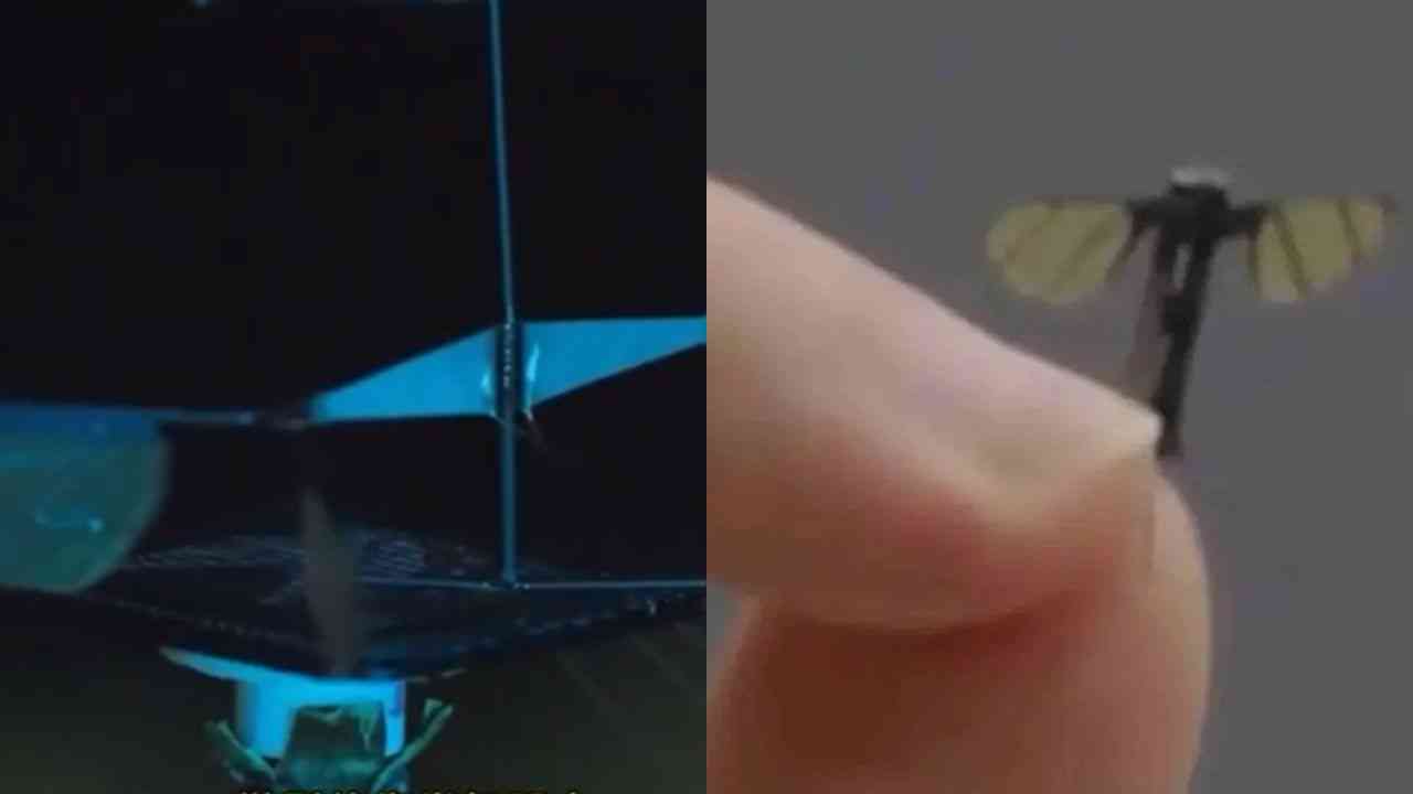 중국, 모기 형태의 스파이 로봇 공개… 프라이버시 우려 제기