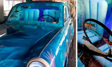 Estudante encontra carro transformado em aquário com peixes e vídeo viraliza no TikTok @fromockingjay