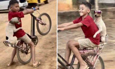 Vídeo: Menino de 9 anos chama a atenção após fazer manobra na bicicleta com sua cachorrinha na garupa