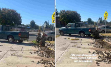 Vídeo: Dono de Ford Ranger prova que seu carro pode fazer "qualquer coisa" ao derrubar árvore com ele