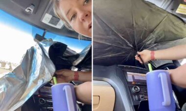 Vídeo: Mulher mostra truque para proteger seu carro do sol e deixa internautas preocupados