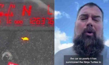 Luz da tartaruga no painel viraliza e alerta para problemas graves nos carros