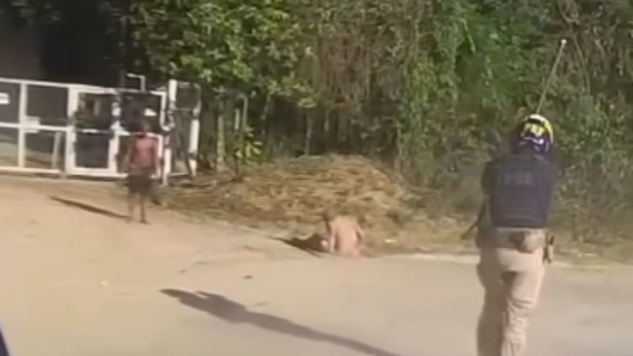 Acidente é causado em rodovia no Brasil após dois homens fugirem da polícia em motocicleta