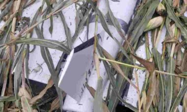 Drone Gerbera é encontrado em campo agrícola na Polônia