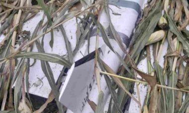 Drone Gerbera é encontrado em campo agrícola na Polônia