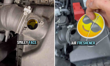 Vídeo: Mecânico fica chocado ao encontrar "carinha feliz" em motor de carro