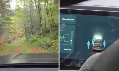 Vídeo: Homem mostra seu carro captando sinais de "pessoas" enquanto dirigia por estrada na floresta