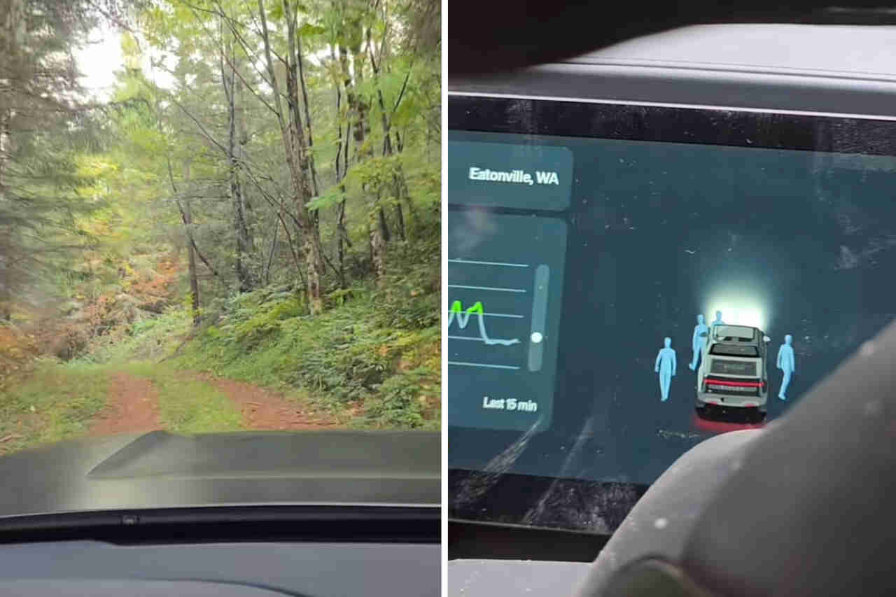 Vidéo : Un homme montre que sa voiture capte des signaux de "personnes" alors qu'il conduisait sur une route en forêt