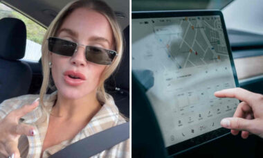 Vídeo: Mulher faz alerta sobre deixar endereços salvos no GPS do carro: "Proteja sua família"