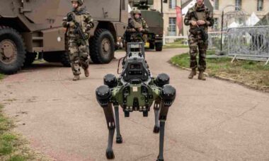 Exército francês inicia testes com cães robôs