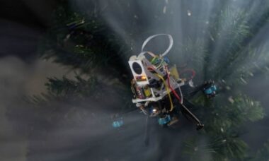 Entenda como drones avançados inspirados em morcegos podem auxiliar missões de busca e resgate