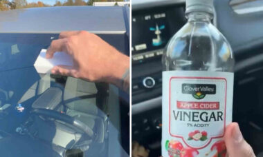 Vídeo: Homem chama a atenção após compartilhar dicas inusitadas de cuidados automotivos