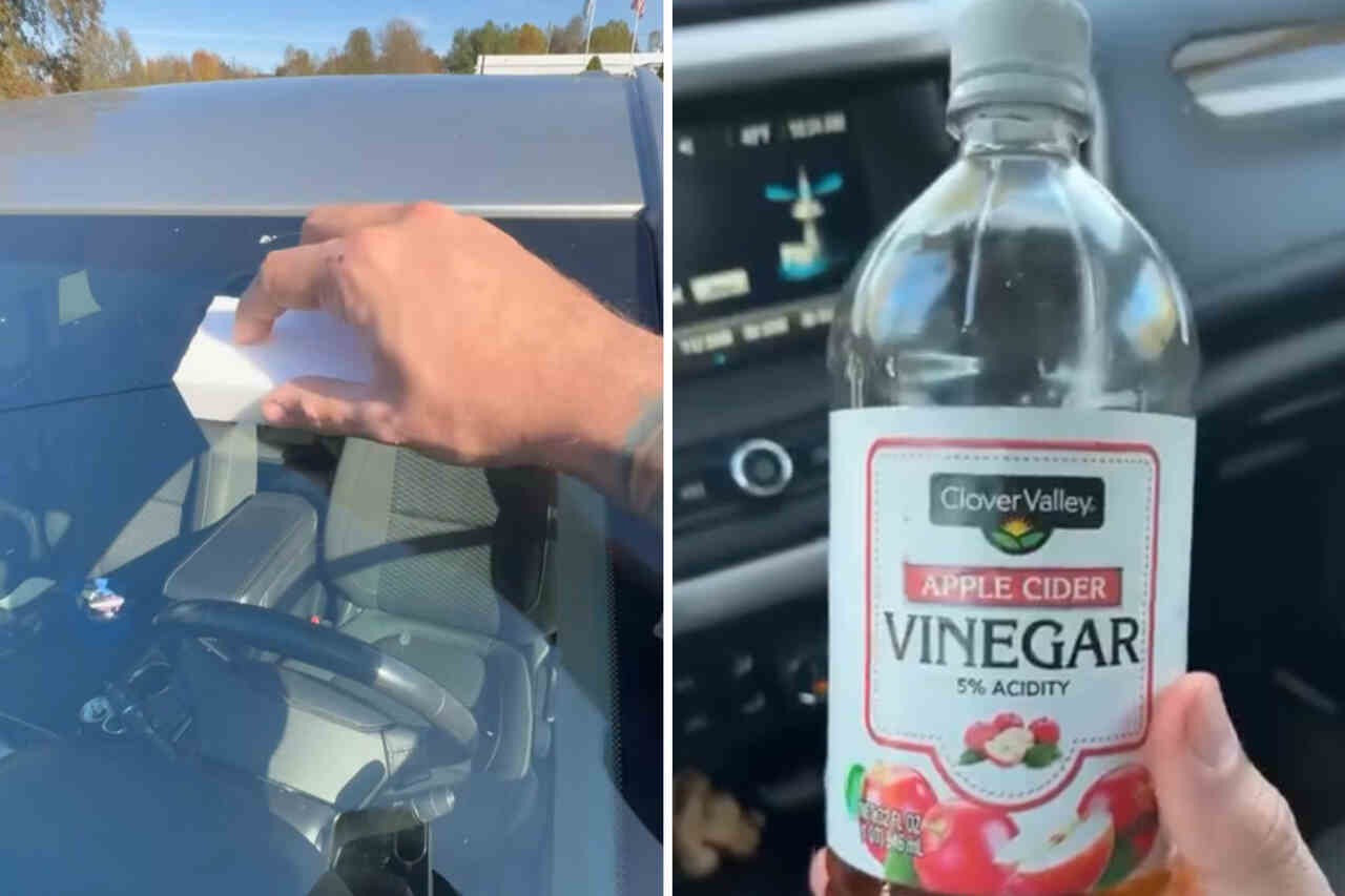 Vídeo: Homem chama a atenção após compartilhar dicas inusitadas de cuidados automotivos