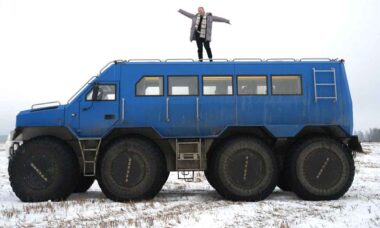 Severobus T24. Telegram @atv_zvezda