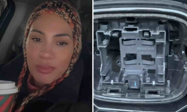 Mulher surpreende internautas após revelar que estão roubando logos de carros da Honda
