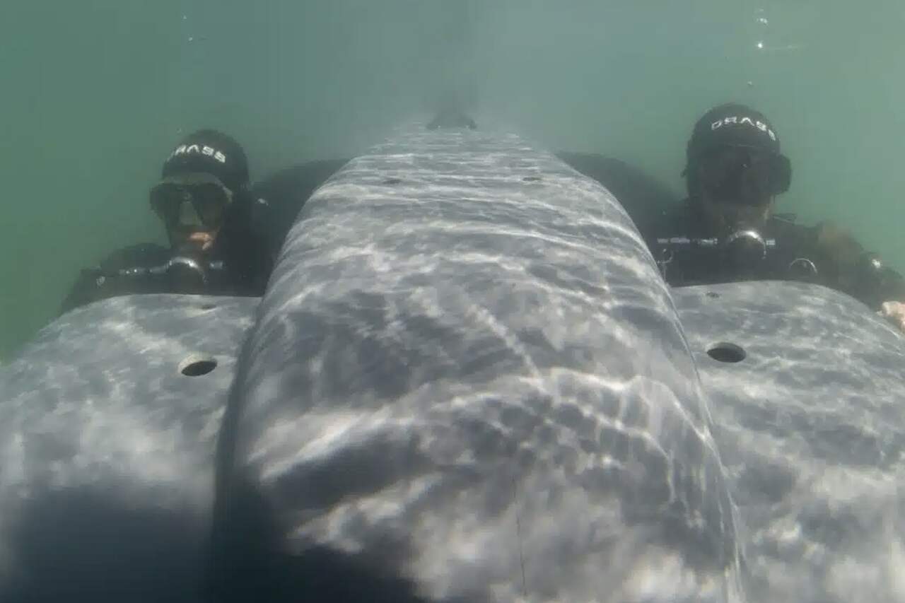 Italiensk selskap leverer to swimmer delivery vehicles til Indonesia