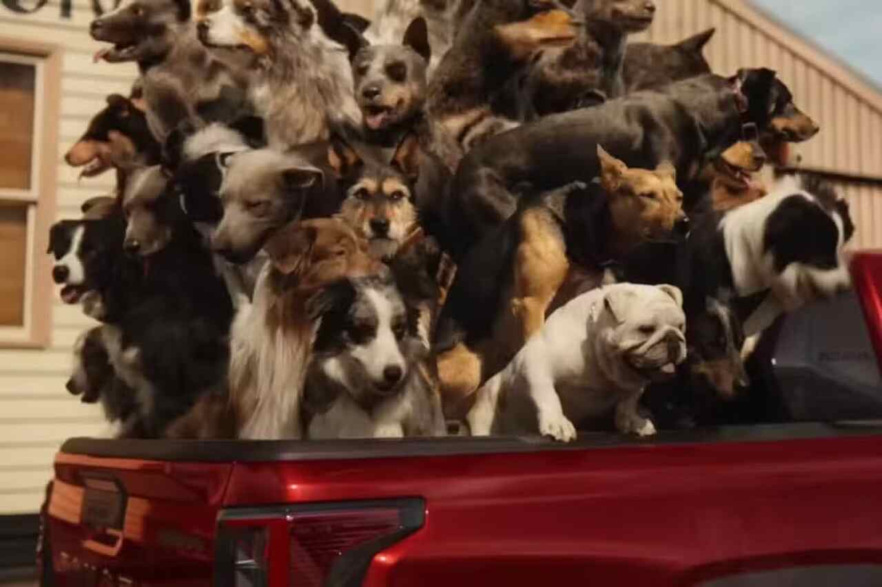 Toyota-reclame geannuleerd omdat honden opgestapeld in Hilux-bak worden getoond