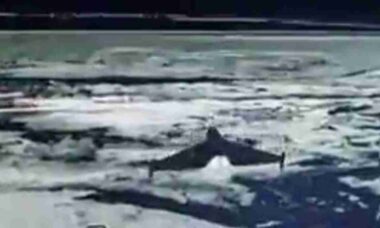Ucrânia amplia uso de drones interceptadores com controle remoto a longa distância