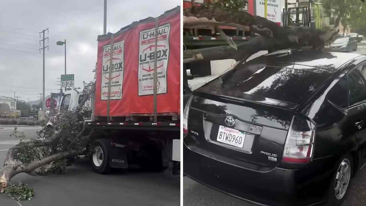 Caminhão arrasta árvore e destrói dezenas de carros em Los Angeles