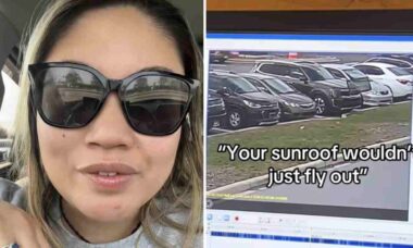 Vídeo: Mulher analisa câmeras de segurança e descobre como perdeu teto solar do carro
