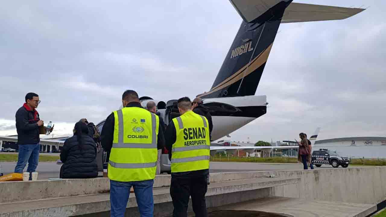 Piloto que ganhou avião de MrBeast é liberado após apreensão de 261 kg de maconha no Paraguai. Foto: SENAD Paraguay / @senad_paraguay