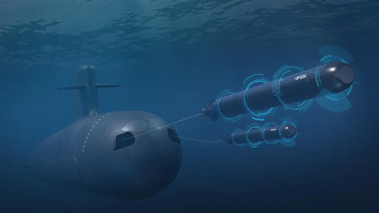 Torpedos pesados F21. Foto: Naval Group