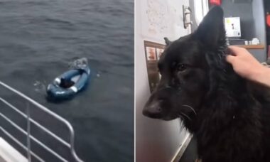 Cachorro é resgatado após passar duas horas à deriva em caiaque inflável no mar