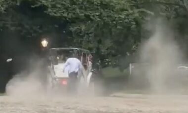 Turista de 18 anos morre em acidente com carruagem no Central Park