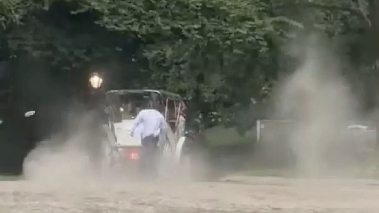 Turista de 18 anos morre em acidente com carruagem no Central Park